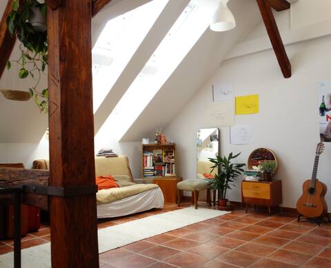 Sunny loft-Hostel at the Grazer Opera