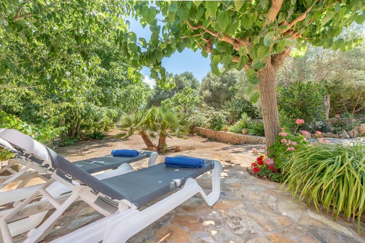 Sa Sinia gallery image 4