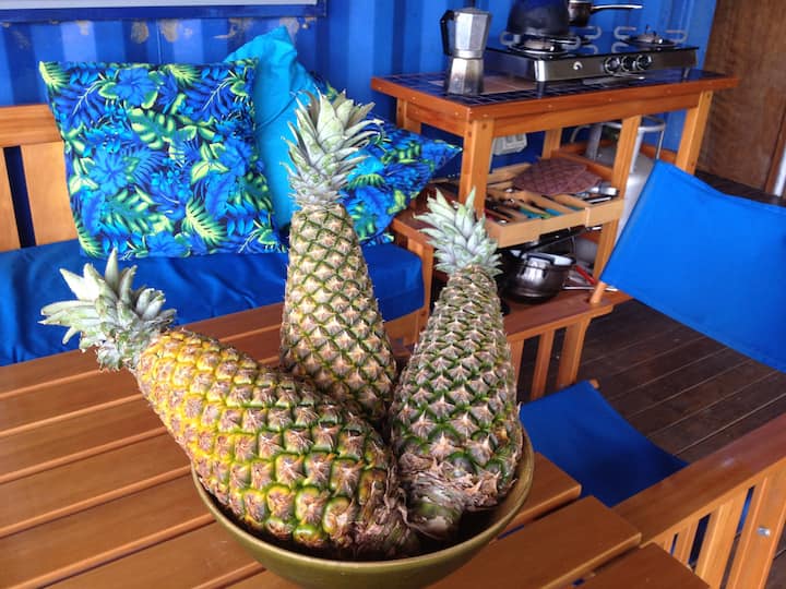 Bula Vista! Fab Fiji Container Home & Boat Shed Cottages for Rent in