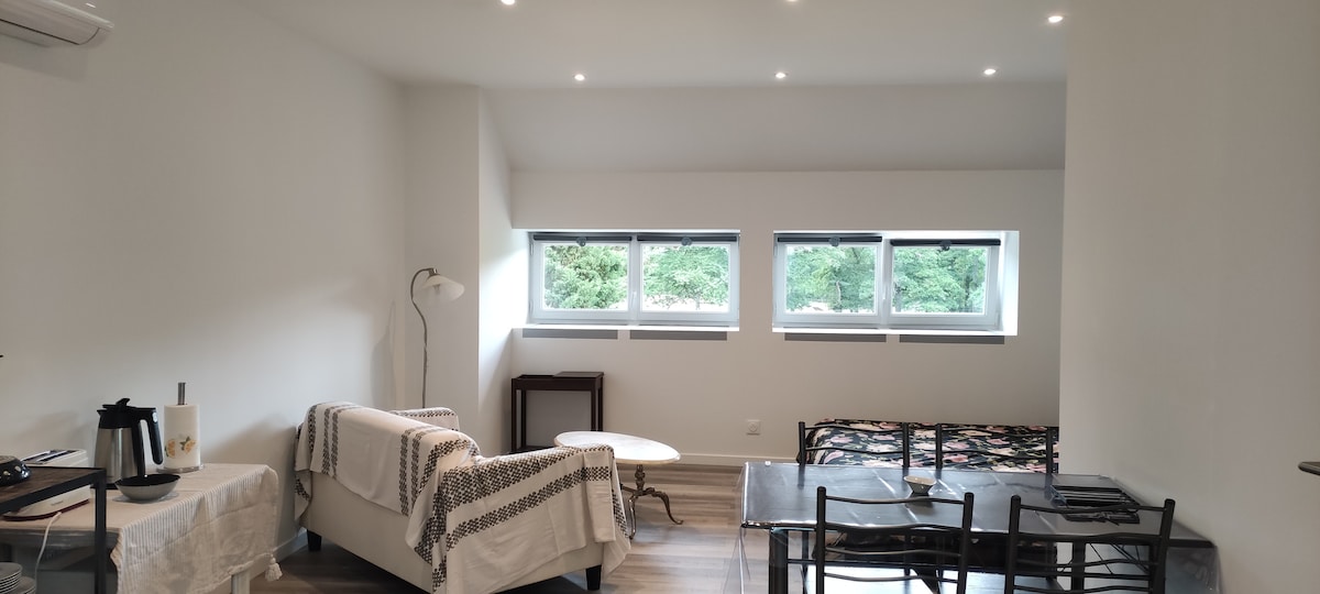 A spacious studio features natural light streaming through two large windows, showcasing views of lush greenery outside. A cozy seating area is arranged with a small table and chairs, while a comfortable bed is positioned across the room. Neutral tones and simple decor create a calming atmosphere.