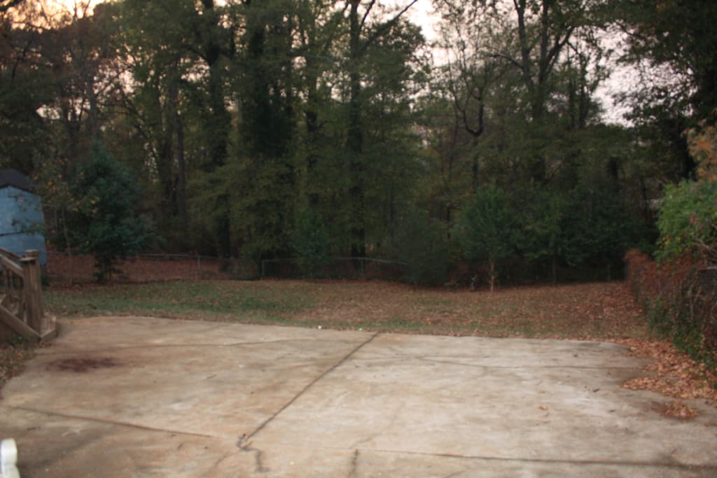 Backyard