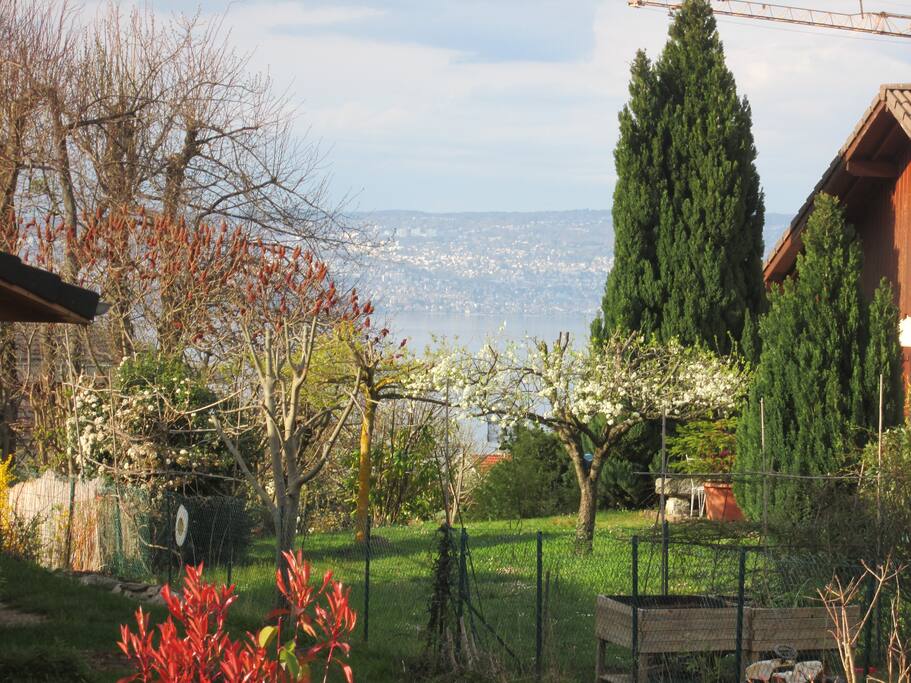 Vue de la terrasse