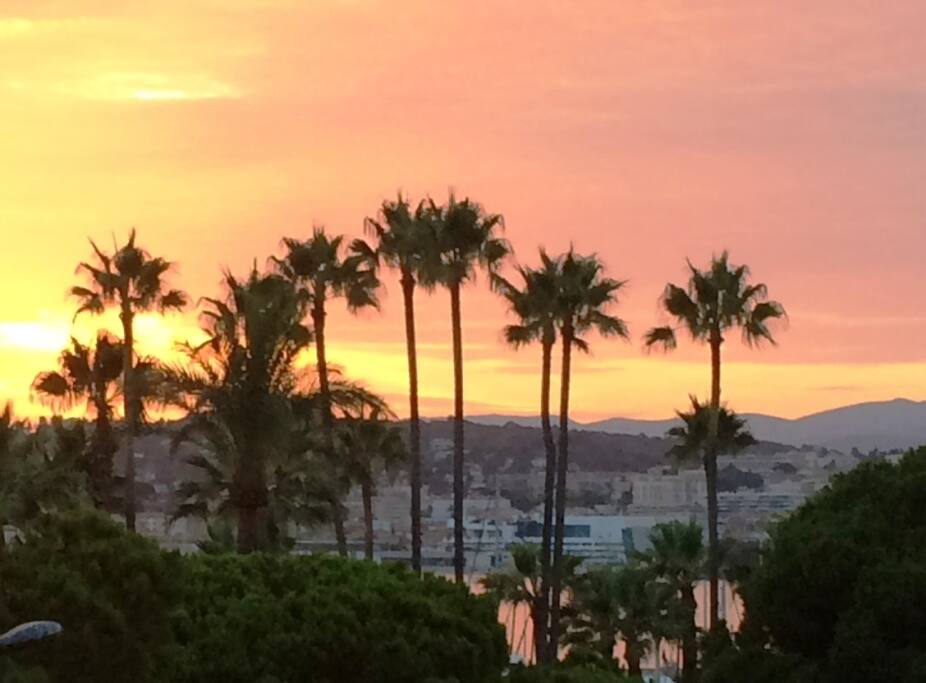 Vue croisette du salon