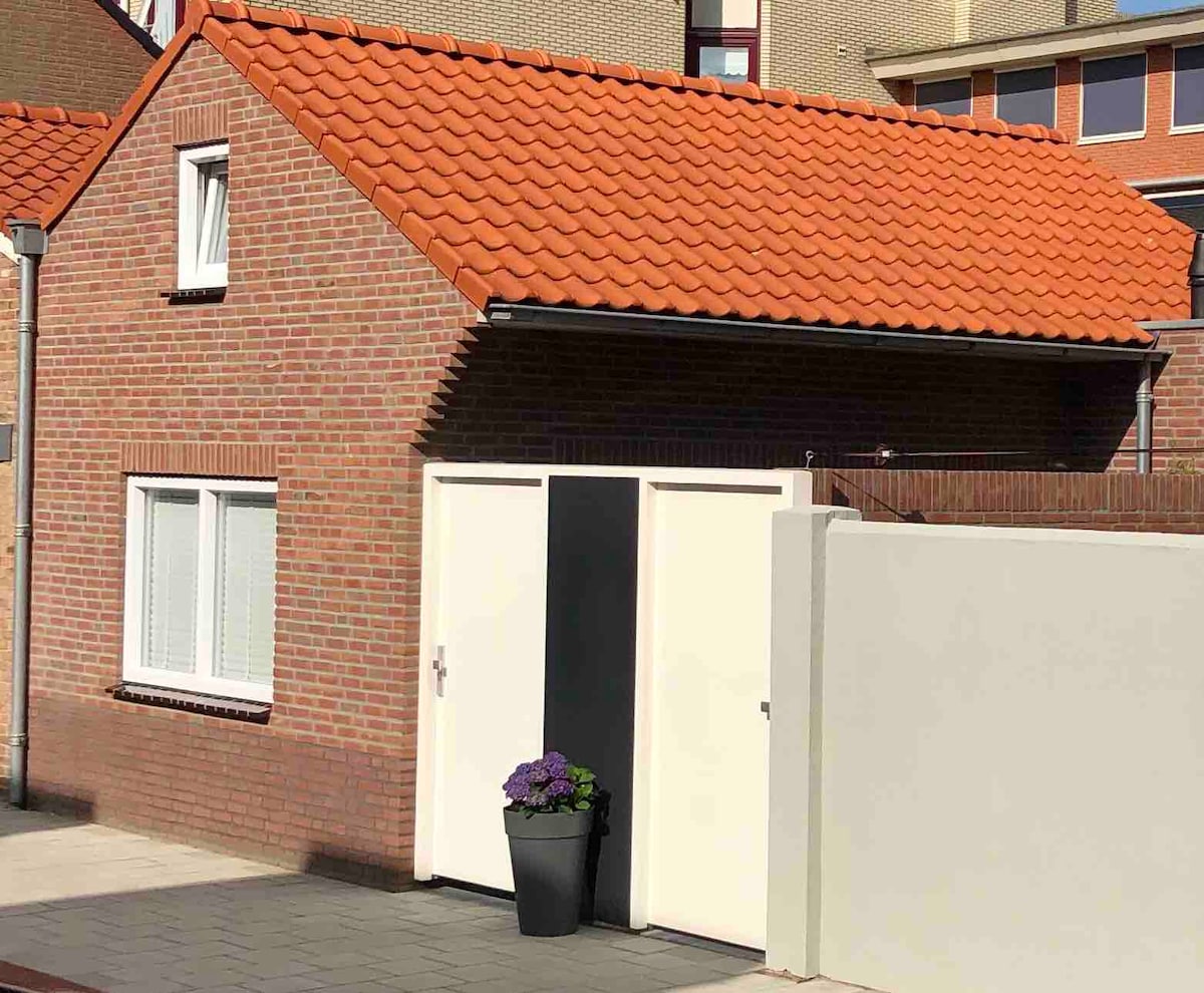 A single-story house is depicted with a red-tiled roof and a brick facade. The entrance is framed by two white doors, with one door slightly ajar. A black flower pot with purple blooms is positioned near the entrance, contrasting against the surrounding neutral tones.