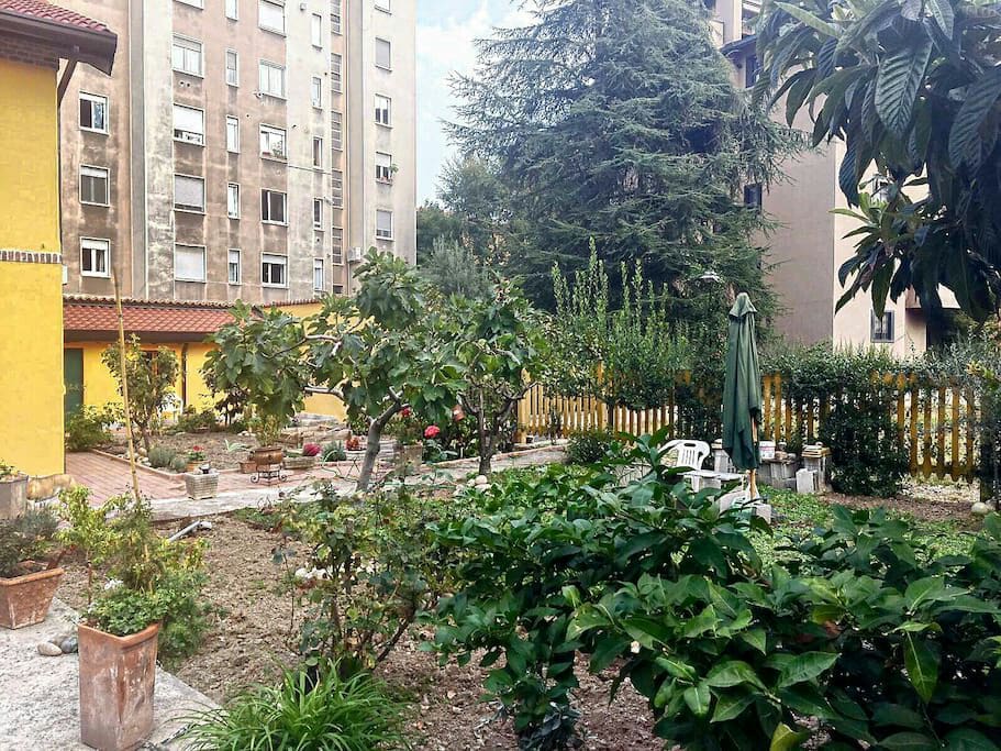 giardino