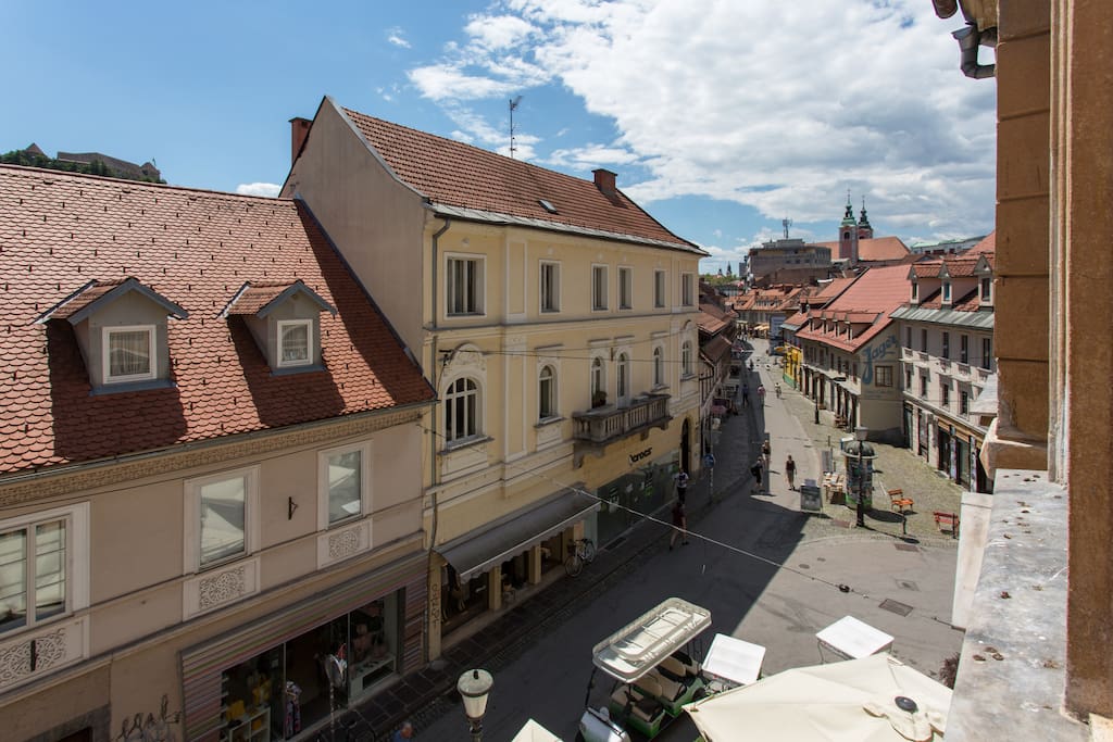 Window view 1