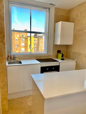 Luxurious spacious 4 b penthouse off Regent’s park gallery image 5