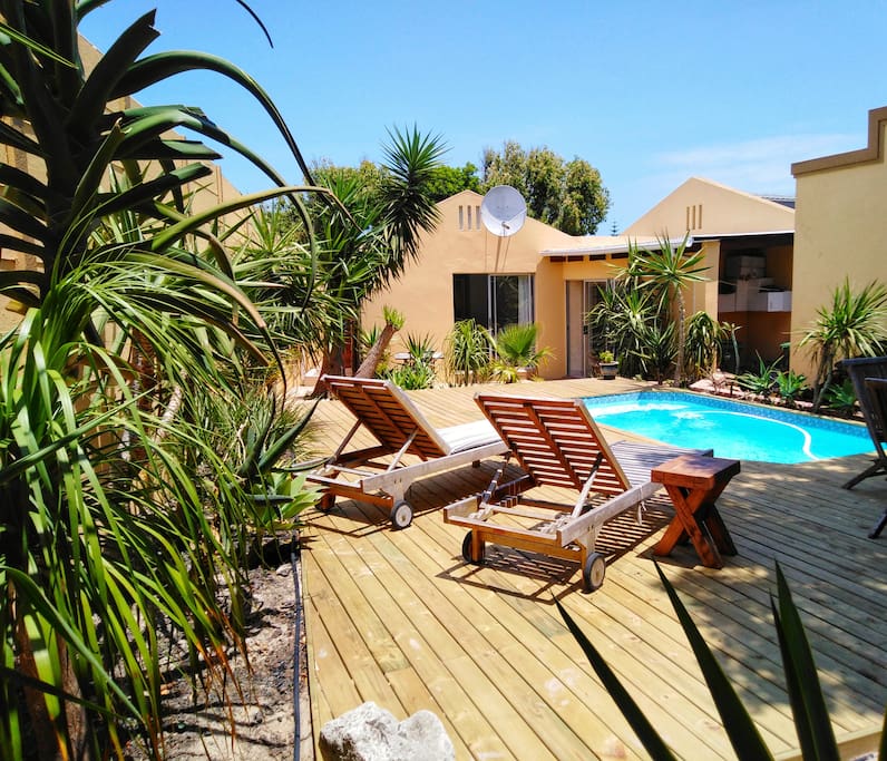 Garden and Pool