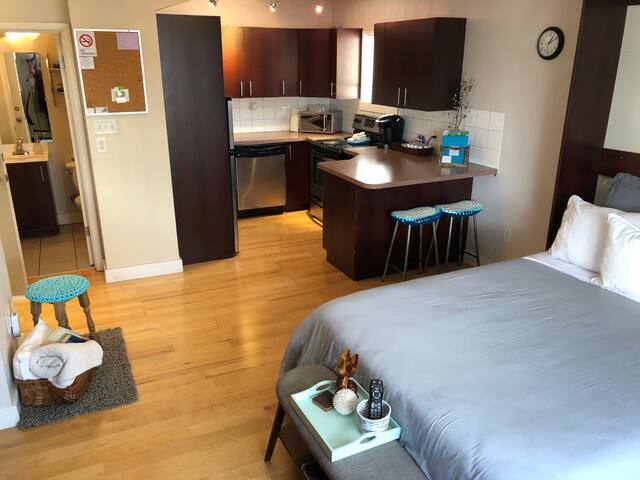 Cozy Downtown Studio Unit in Winnipeg