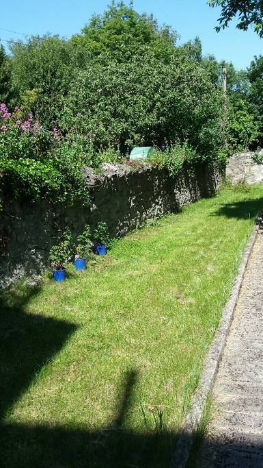 Back garden