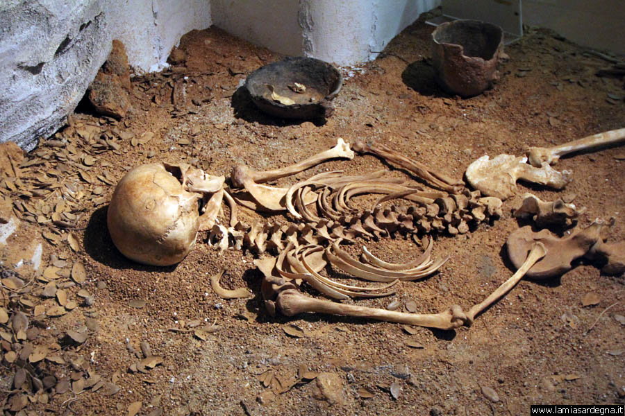 A skeletal remains is situated on a brown earthen floor, surrounded by fragments of pottery and scattered small stones. The positioning of the bones suggests a human skeleton, with identifiable elements such as ribs, limbs, and a skull, highlighting an archaeological context.
