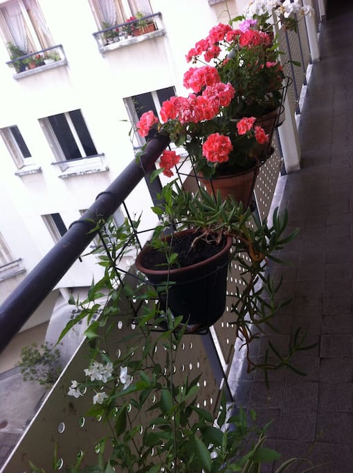 Cour intérieure calme et fleurie