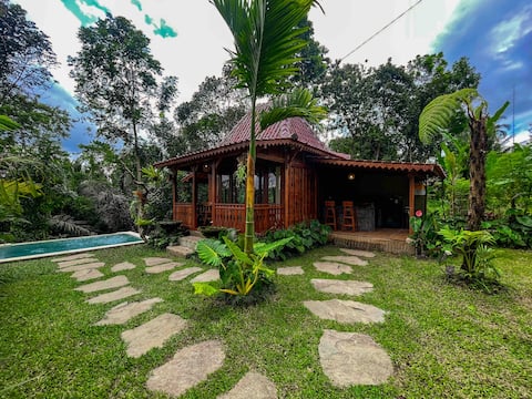 NEW! Private pool 1 BR Jungle view