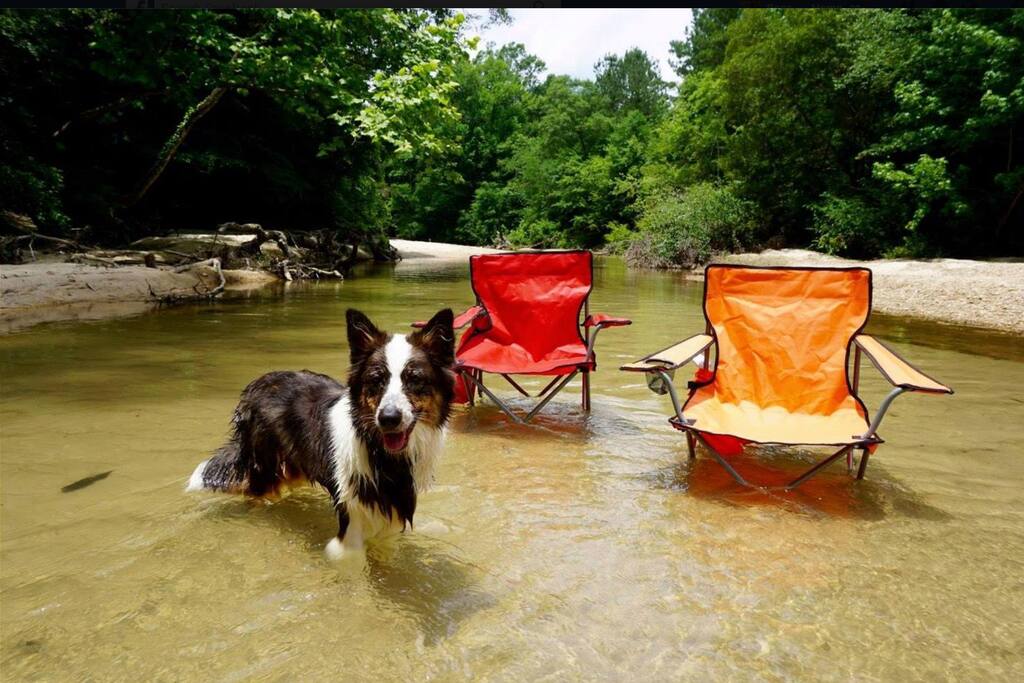 Thunder Ridge — Secluded Forest Getaway Cabins for Rent in Gloster