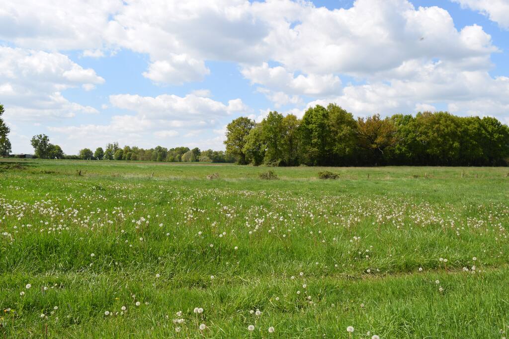 Vue derrière le Gîte
