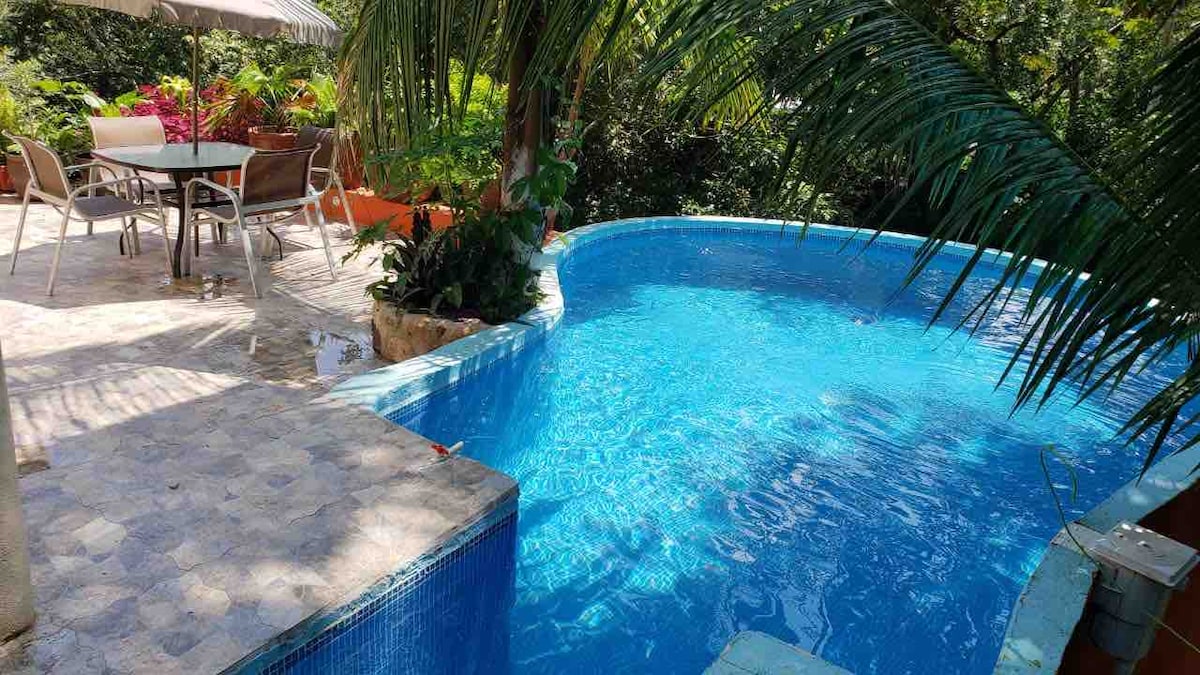 A refreshing pool is surrounded by lush greenery, featuring a gentle curve and vibrant blue water. A nearby patio area includes a dining table and chairs under a shaded umbrella, providing a tranquil space for relaxation amid tropical plants.