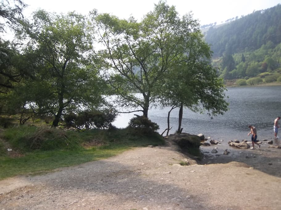 Stunning Glendalough 30 min drive over mountains