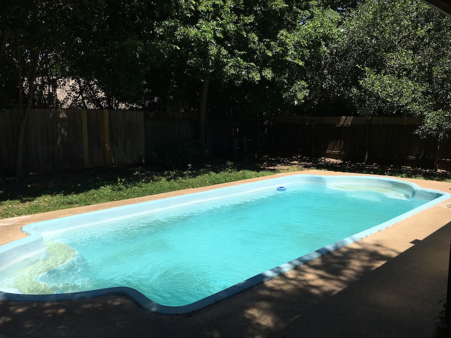 Backyard pool daytime