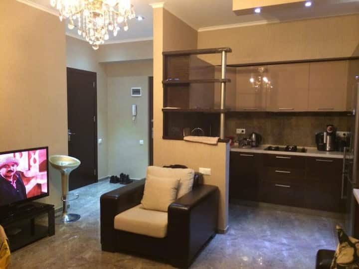 Comfortable Apartment In Tbilisi Apartments for Rent in Tbilisi