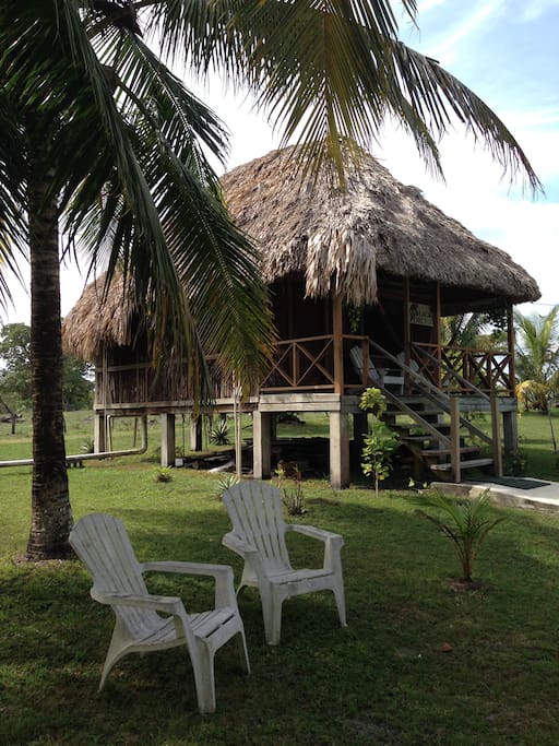 Come nest in nature