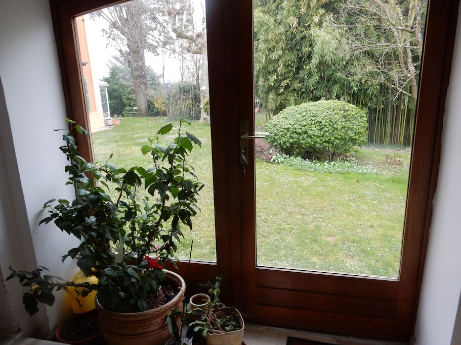 vue sur le jardin