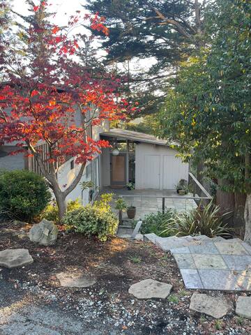 Dream Redwood Getaway: Hot Tub, Views, Hiking gallery image 3