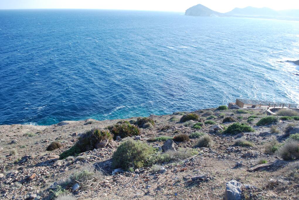 Playa San Jose