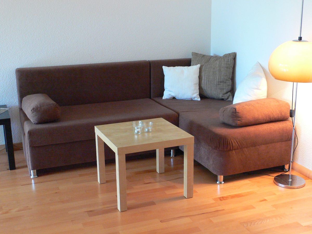 Rozkladacia pohovka a posteľ pre hostí,
1,40 x 2,00 m