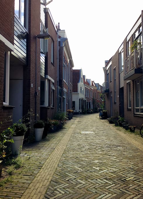 Street