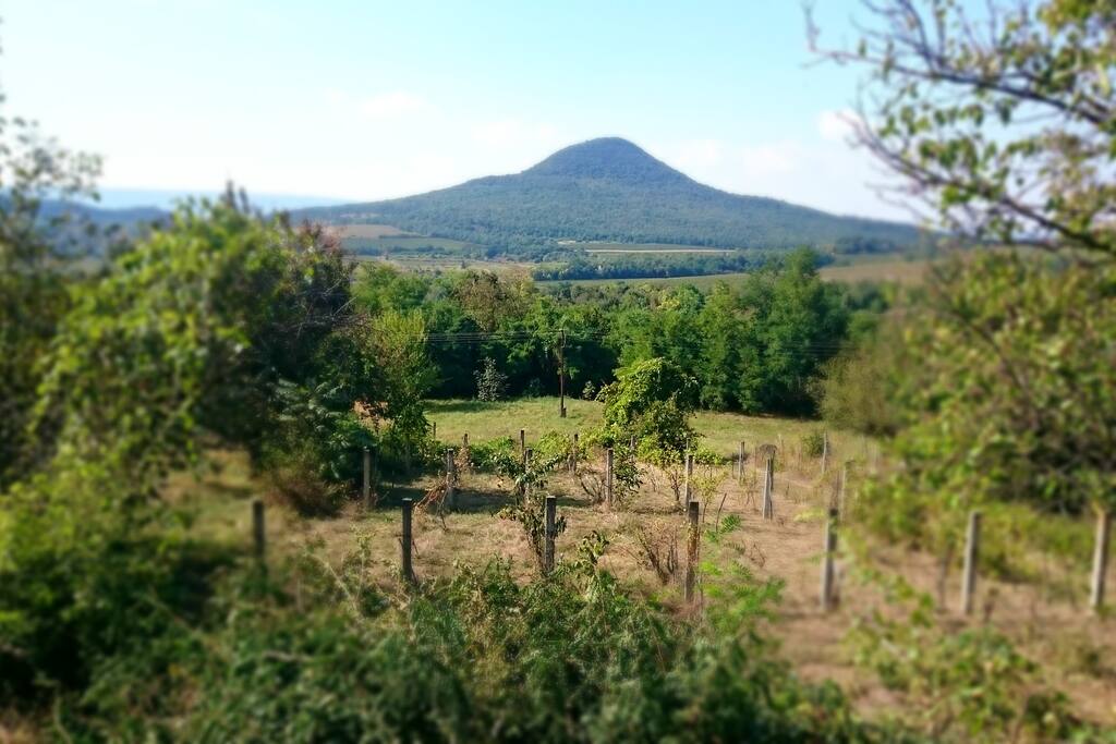 panoráma a teraszról a Gulácsra / view from the terrace to the Gulacs mountain
