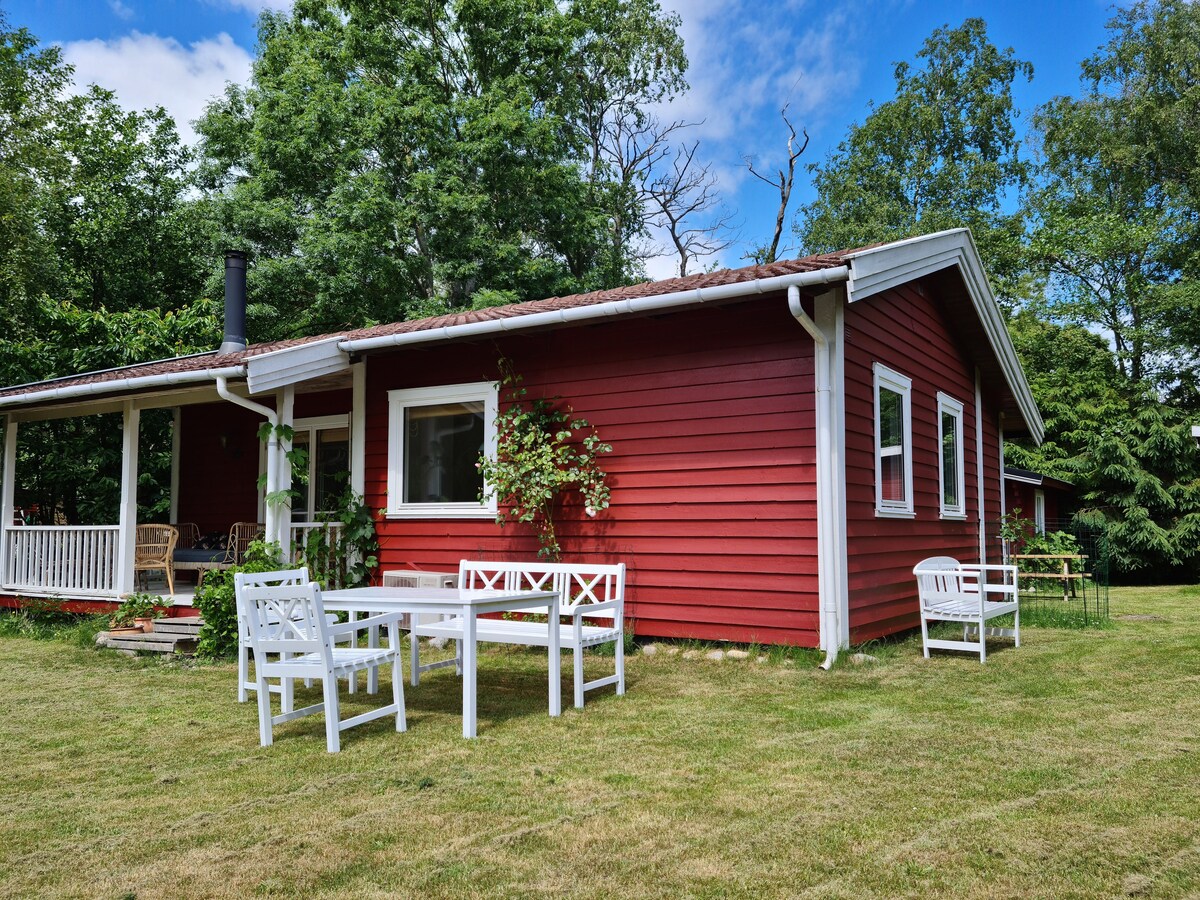 A small red house is surrounded by a spacious lawn, featuring outdoor seating areas with white furniture. The front porch, framed by greenery, offers a serene spot to relax. The house is complemented by large windows that provide natural light to the interior.