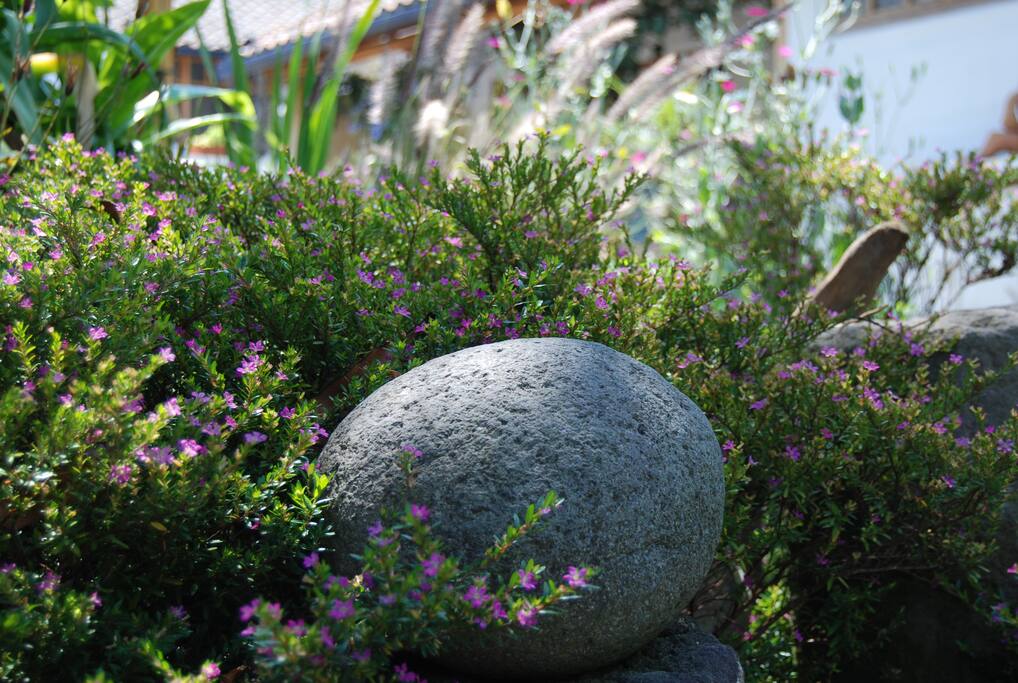 joyful garden