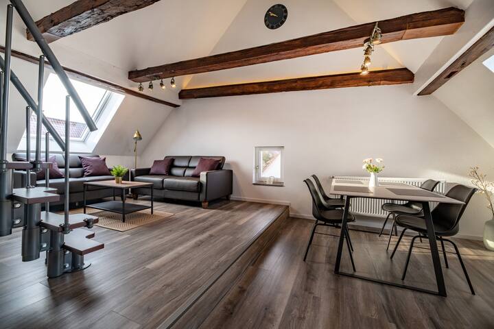 Ganze Wohnung In Bad Buchau Am Federsee Flats For Rent In Bad Buchau Baden Wurttemberg Germany