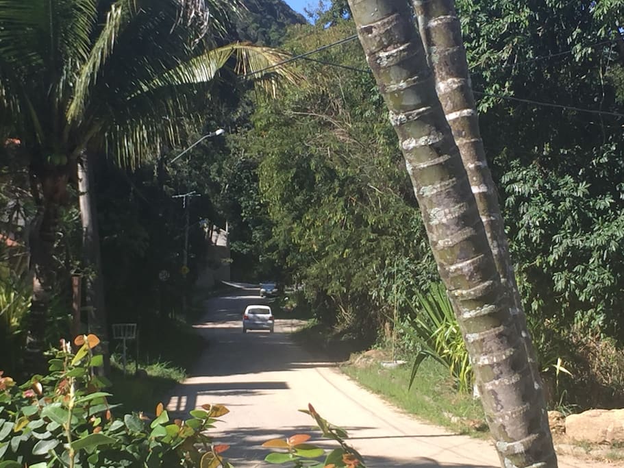 Arriving at the house