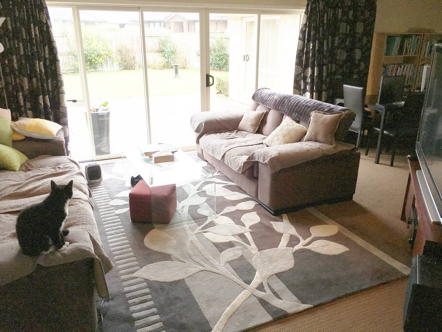 Sunny Living Room