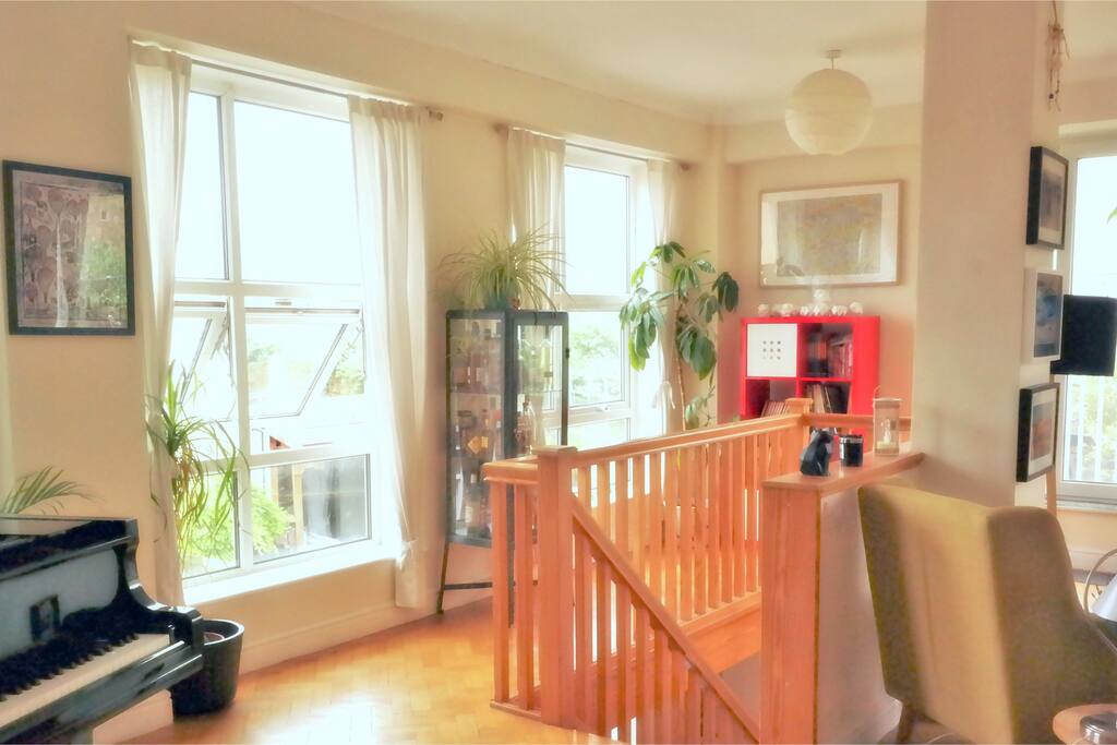 Super bright, open plan, windows everywhere house!