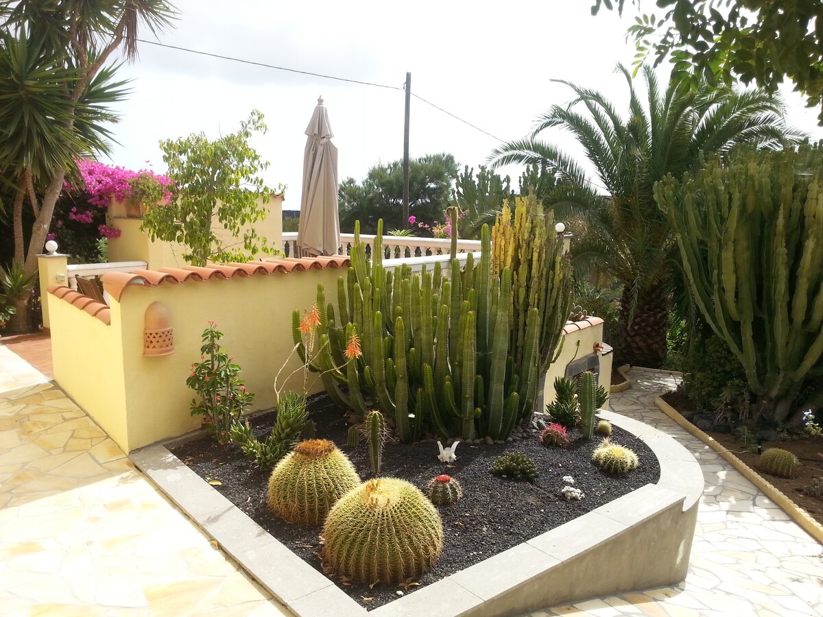 Finca Margarita, Oasis with Sea View - Houses for Rent in Telde, Canary  Islands, Spain - Airbnb
