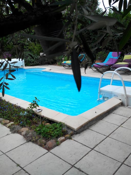 un petit coin de paradis