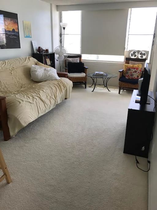 Common area with TV and futon