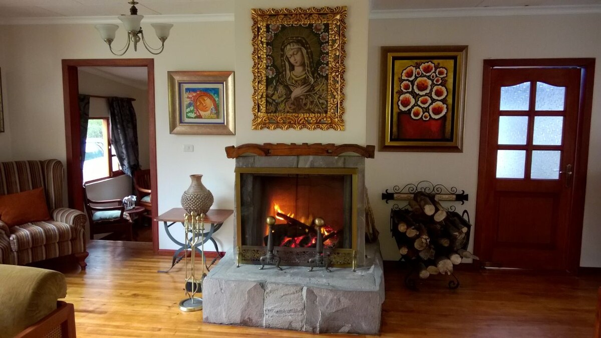 A cozy living area is highlighted by a stone fireplace, where flames provide a warm glow. Artistic frames adorn the walls, complemented by wooden doors and a hardwood floor. Comfortable seating includes a patterned sofa, inviting relaxation in this welcoming space.