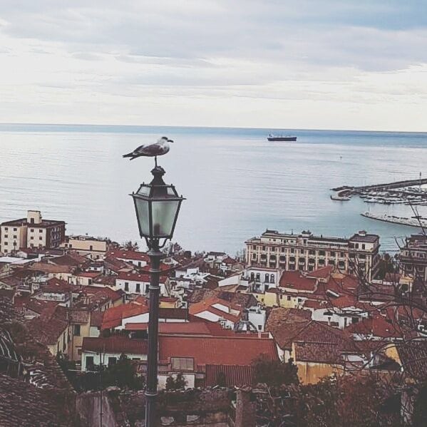 A scenic view captures a coastal town from above, showcasing a mix of rooftops and architecture. A seagull perches atop a lamppost, overlooking the tranquil sea and distant ships. The shoreline features a harbor lined with boats and buildings with a panoramic backdrop of soft, cloudy skies.