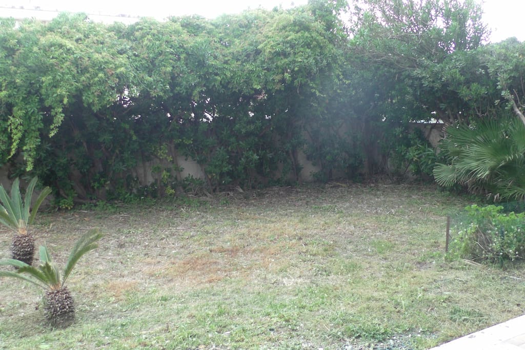 Il giardino di c.a 100 mq