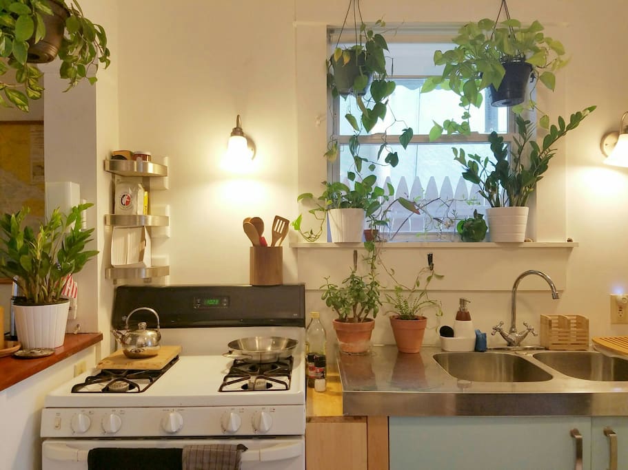The kitchen is fully equipped and you are welcome to cook here or on the gas grill out back.