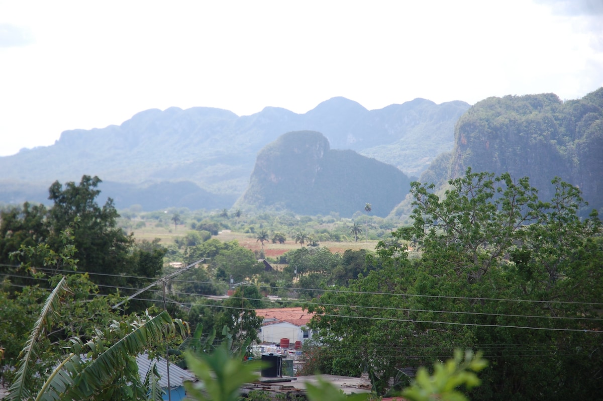 A panoramic view of the Viñales valley is presented, showcasing lush green landscapes and dramatic mountains in the background. Houses can be seen in the foreground, framed by vibrant foliage, under a bright sky with scattered clouds.
