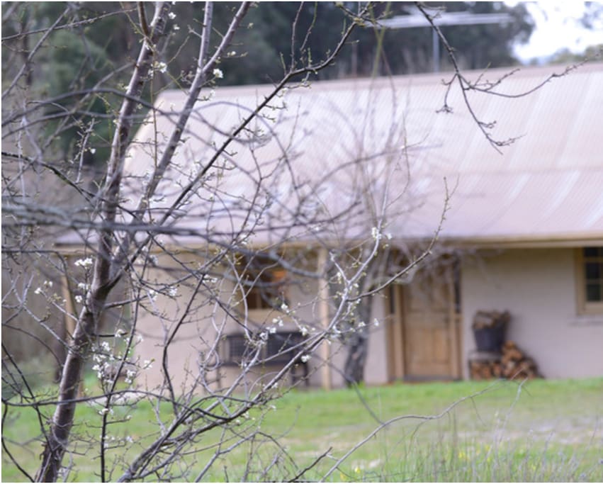 Welcoming front entrance