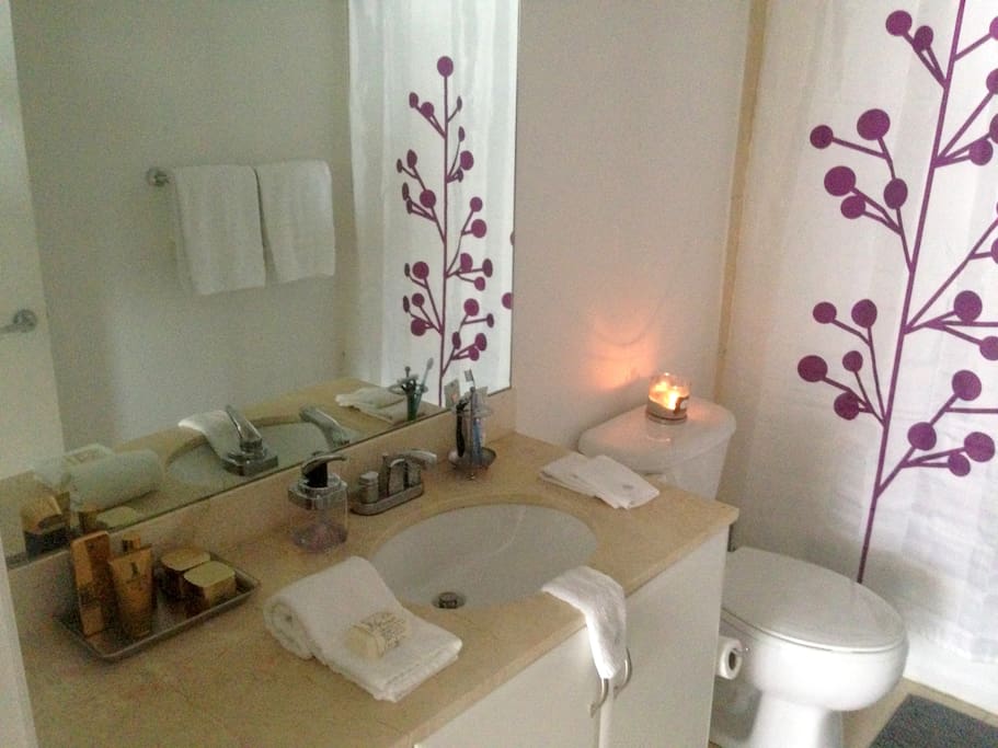The bathroom comes with hair dryer - shampoo, and bar soap.