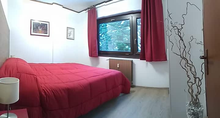 พื้นห้องนั่งเล่นห้องนอนคู่