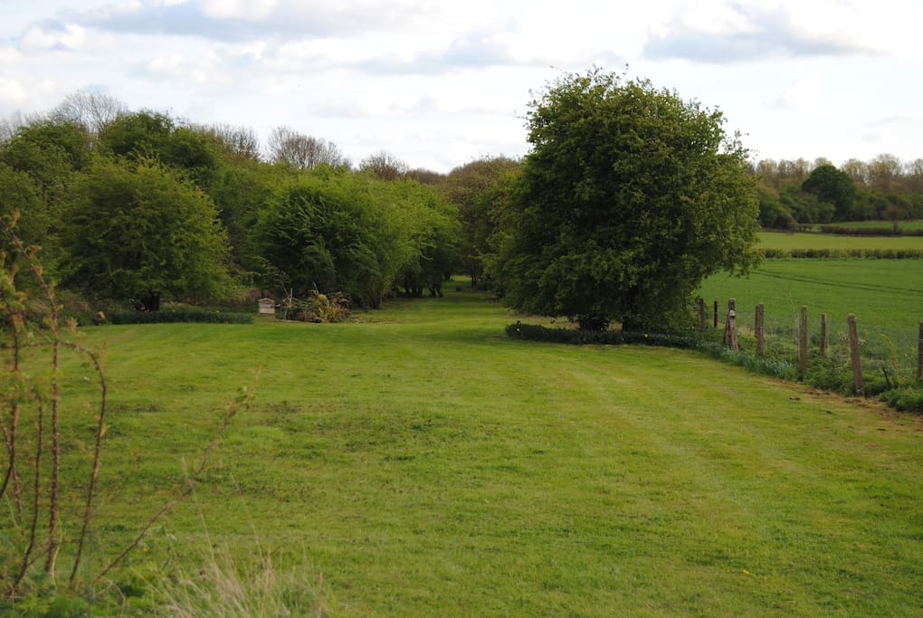 Field for camping