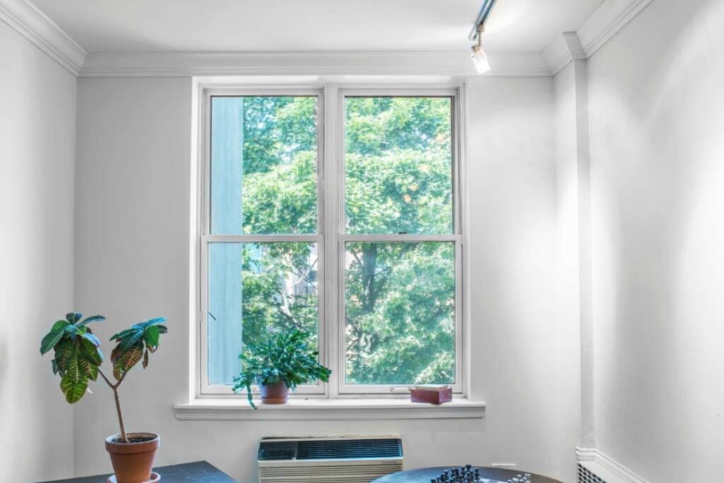Living room window