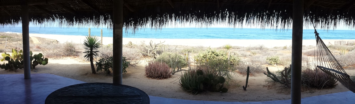 A spacious covered patio with a thatched roof offers sweeping views of the sandy beach and ocean. Vibrant coastal plants and cacti frame the scenery, while a hammock is visible in the foreground, inviting relaxation amidst the natural beauty.